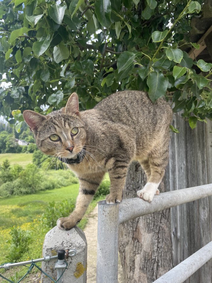 Unbekannt 251024-183828