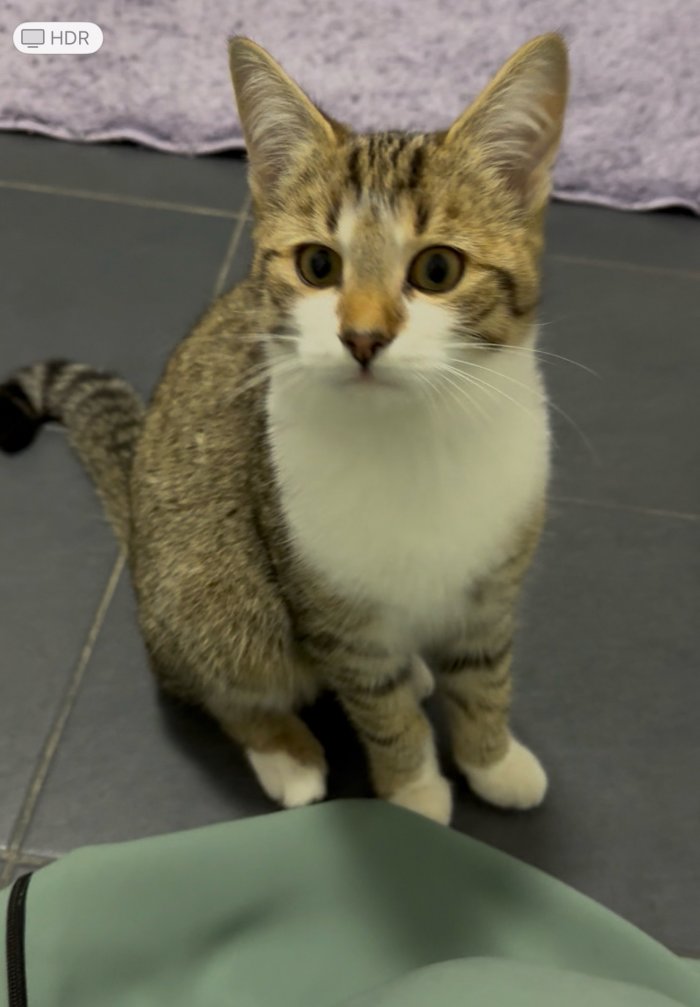 Unbekannt 251101-214530