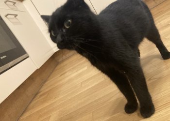 Unbekannt 251105-223622