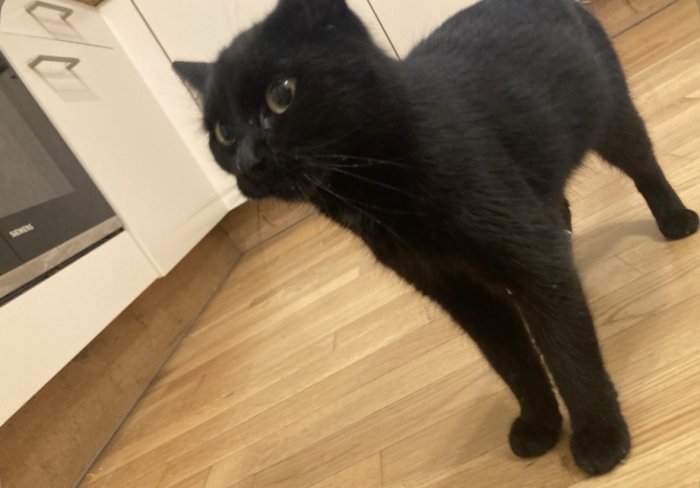 Unbekannt 251105-223622