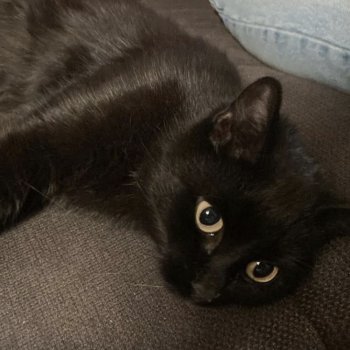 Unbekannt 251105-223622