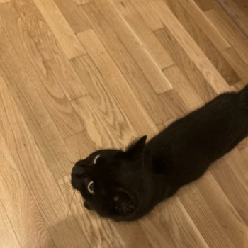 Unbekannt 251105-223622