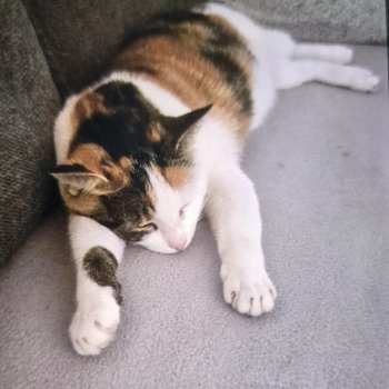 Unbekannt 250827-150708