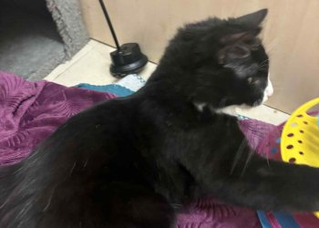 Unbekannt 251215-143126