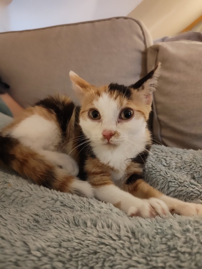 Unbekannt 250831-191813