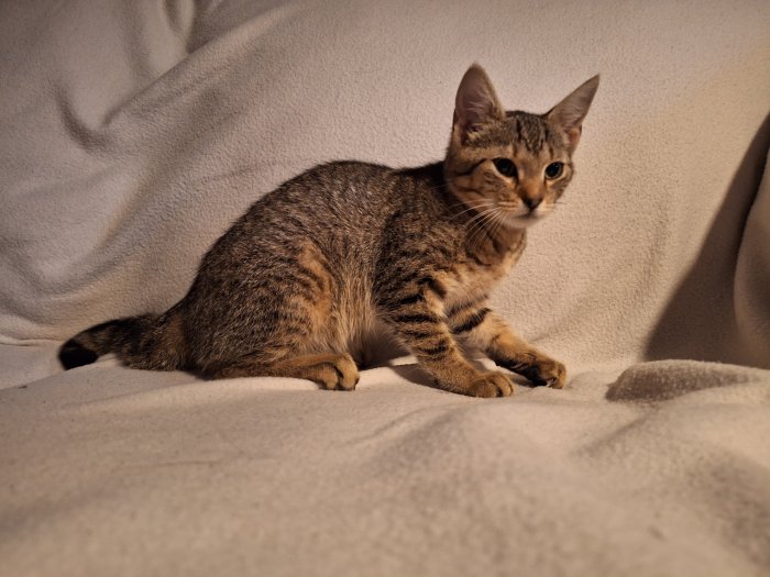 Unbekannt 250902-211303