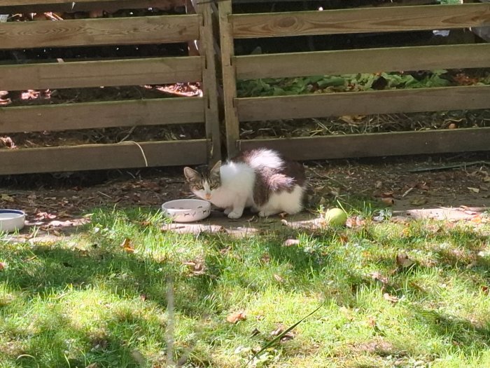 Unbekannt 250903-182634