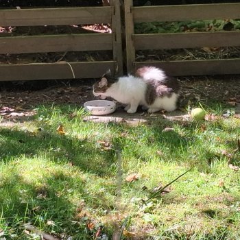 Unbekannt 250903-182634