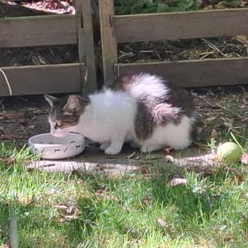 Unbekannt 250903-182634