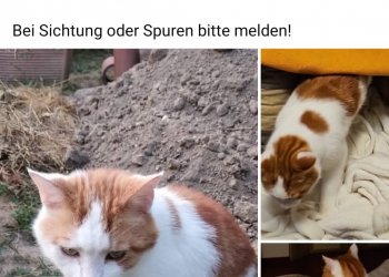 Unbekannt 250908-130431