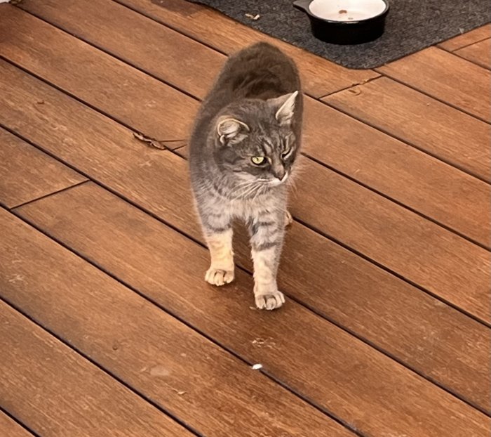 Unbekannt 260110-204536