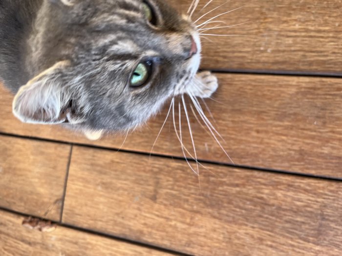 Unbekannt 260110-204536