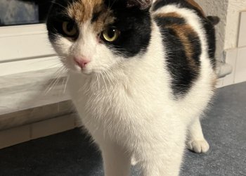 Unbekannt 260123-174158