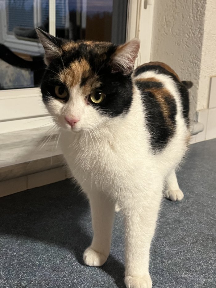 Unbekannt 260123-174158