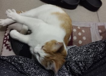 Unbekannt 260109-231454