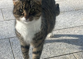 Unbekannt 260127-135108