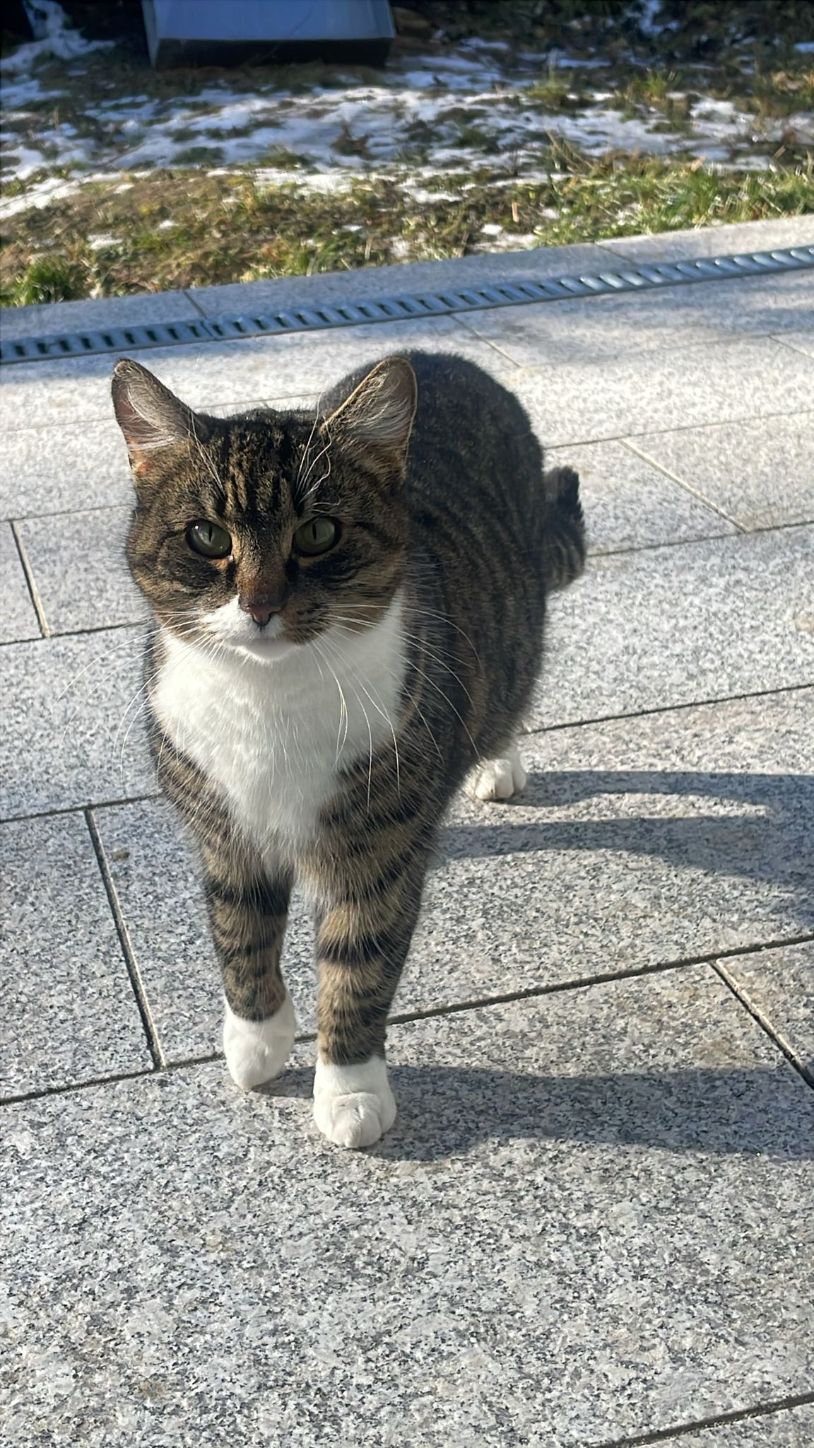 Unbekannt 260127-135108