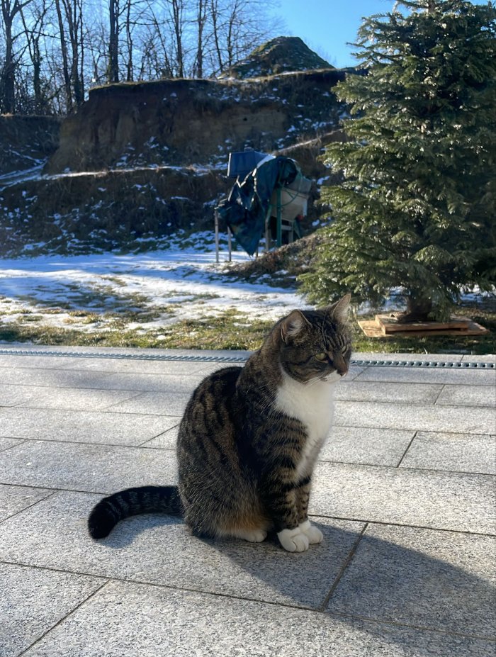 Unbekannt 260127-135108