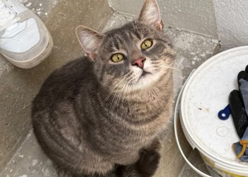 Unbekannt 260213-180434