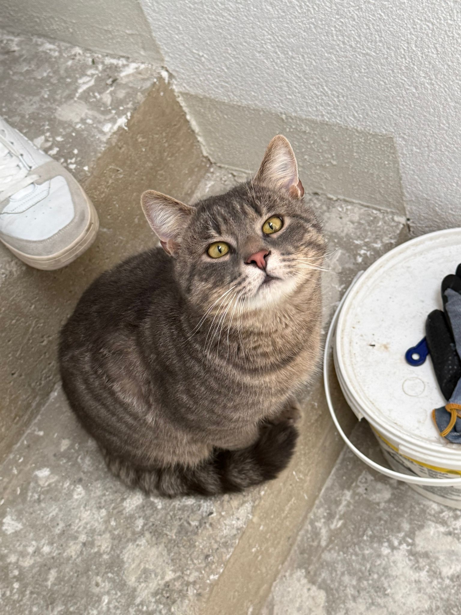 Unbekannt 260213-180434