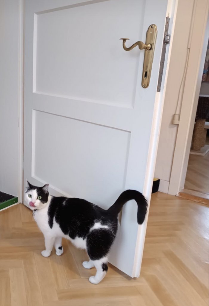 Unbekannt 260221-110229