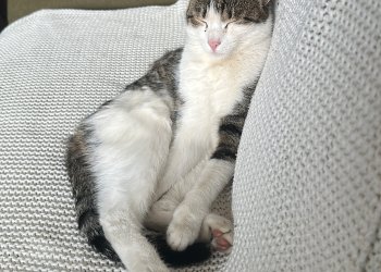 Unbekannt 260222-113553