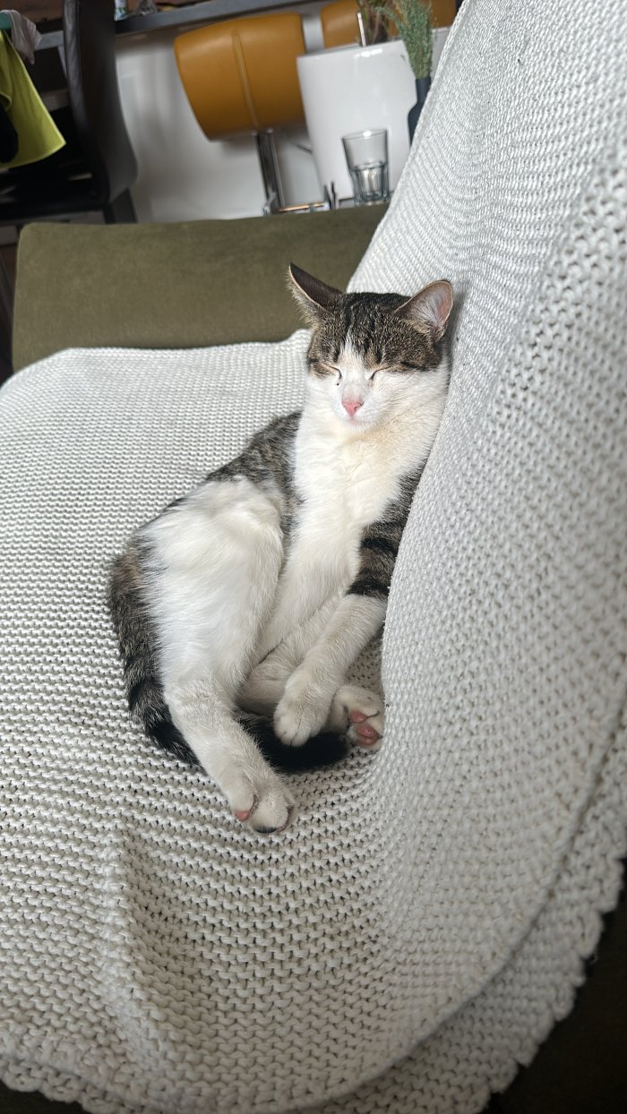 Unbekannt 260222-113553