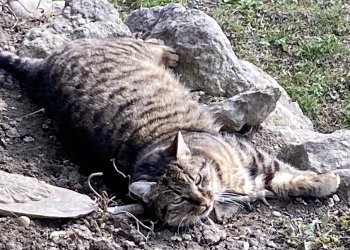 Unbekannt 260222-143321