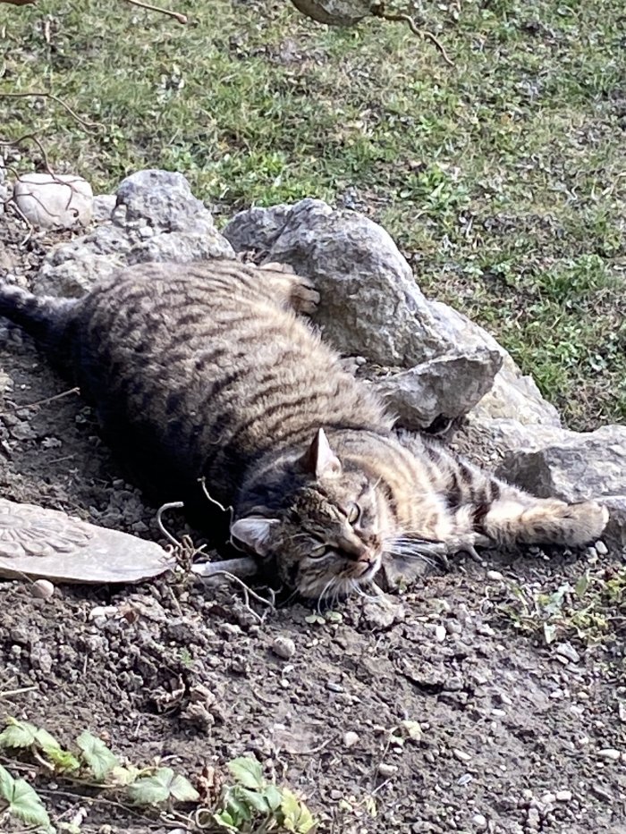 Unbekannt 260222-143321