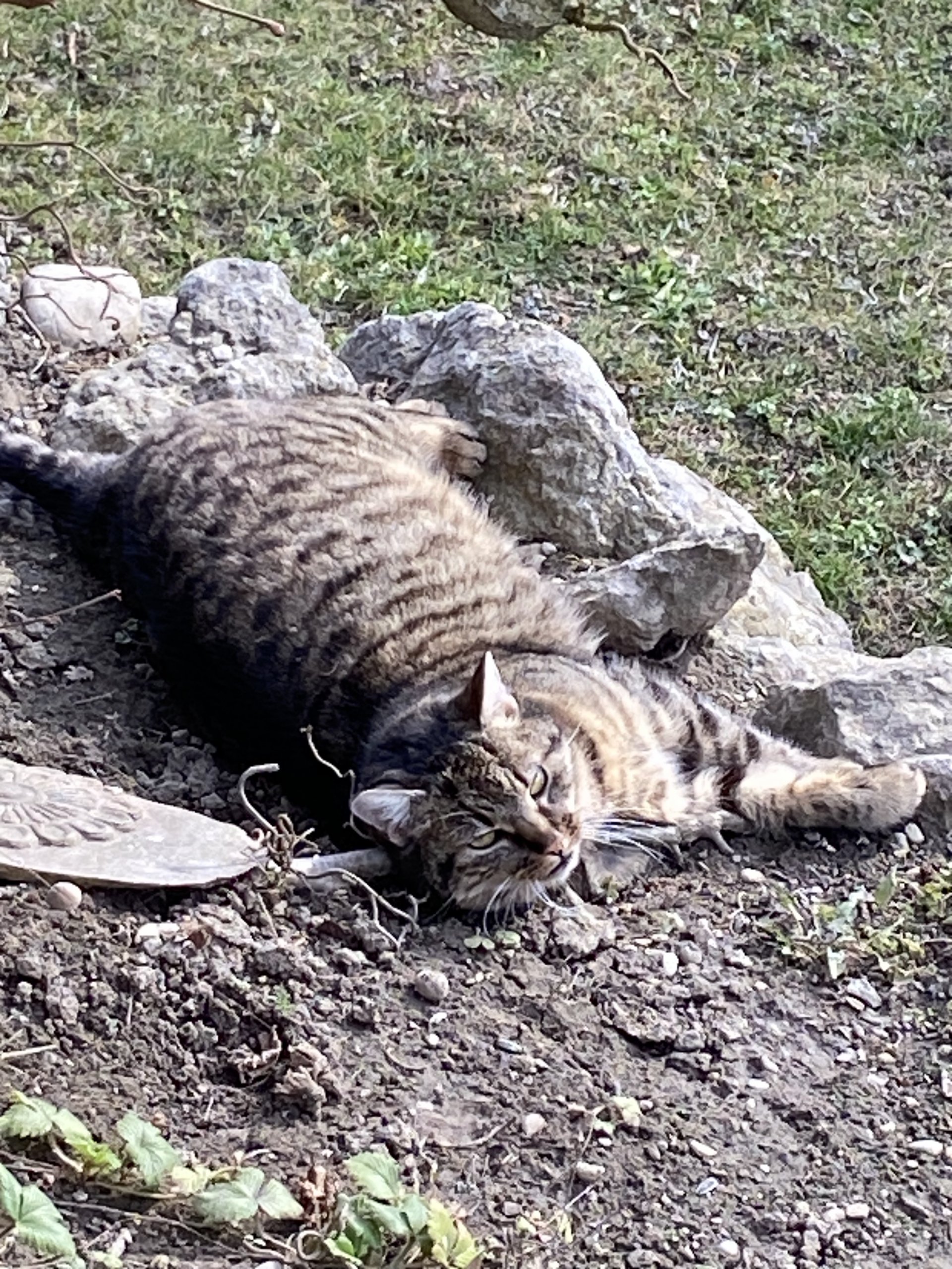 Unbekannt 260222-143321