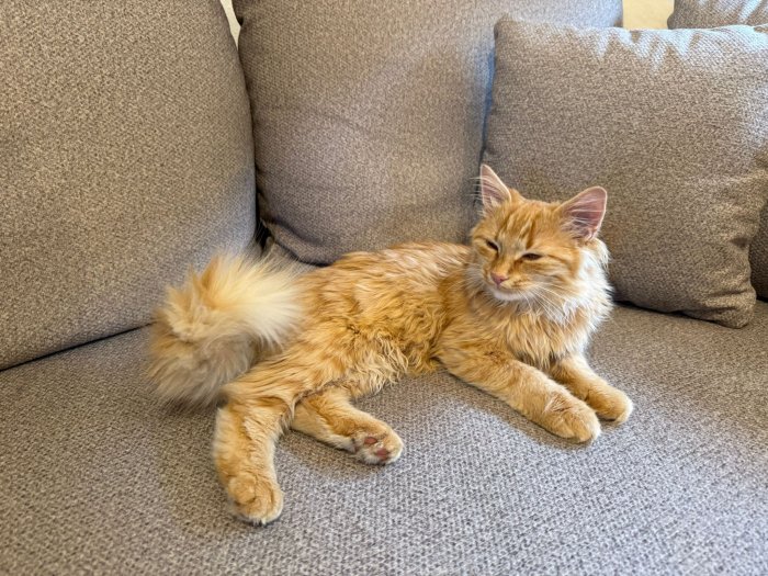 Unbekannt 250922-111129