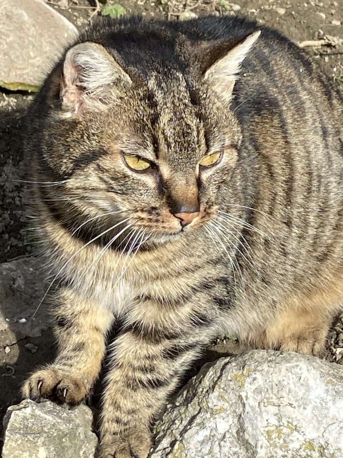 Unbekannt 260222-143321