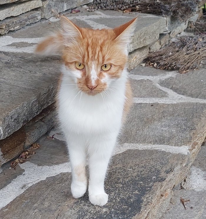 Unbekannt 250922-112013