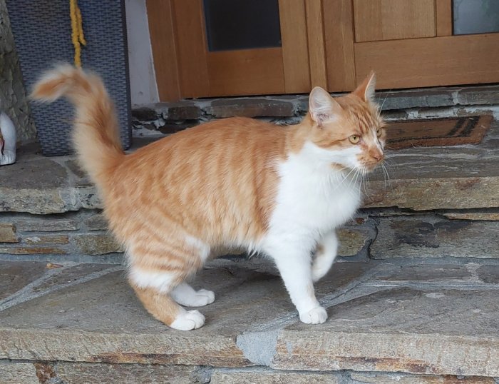 Unbekannt 250922-112013