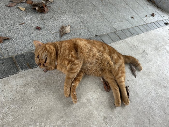 Unbekannt 260304-143135