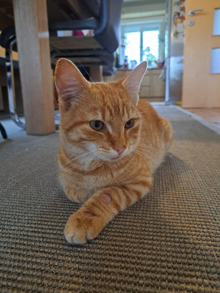 Unbekannt 250923-215926