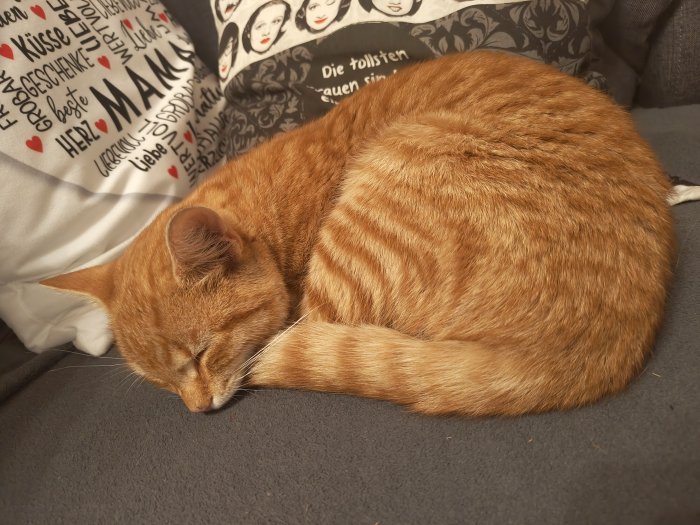 Unbekannt 250923-215926