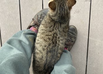 Unbekannt 260314-085543