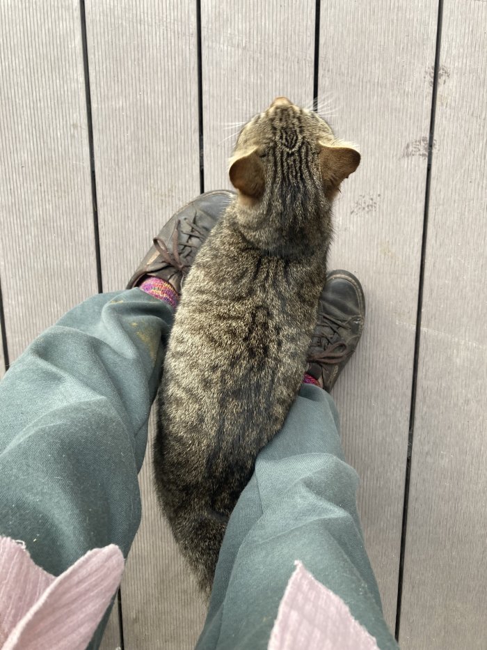 Unbekannt 260314-085543