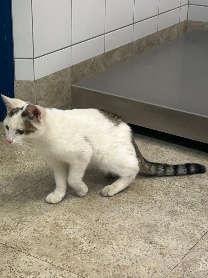 Unbekannt 251016-183936