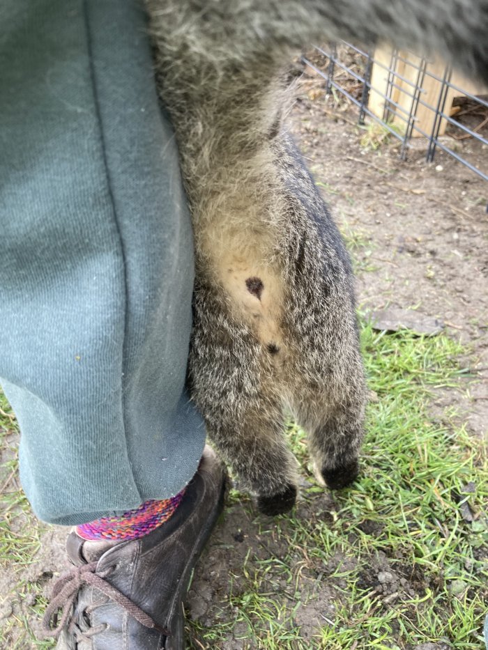 Unbekannt 260314-085543