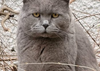 Unbekannt 260317-141901