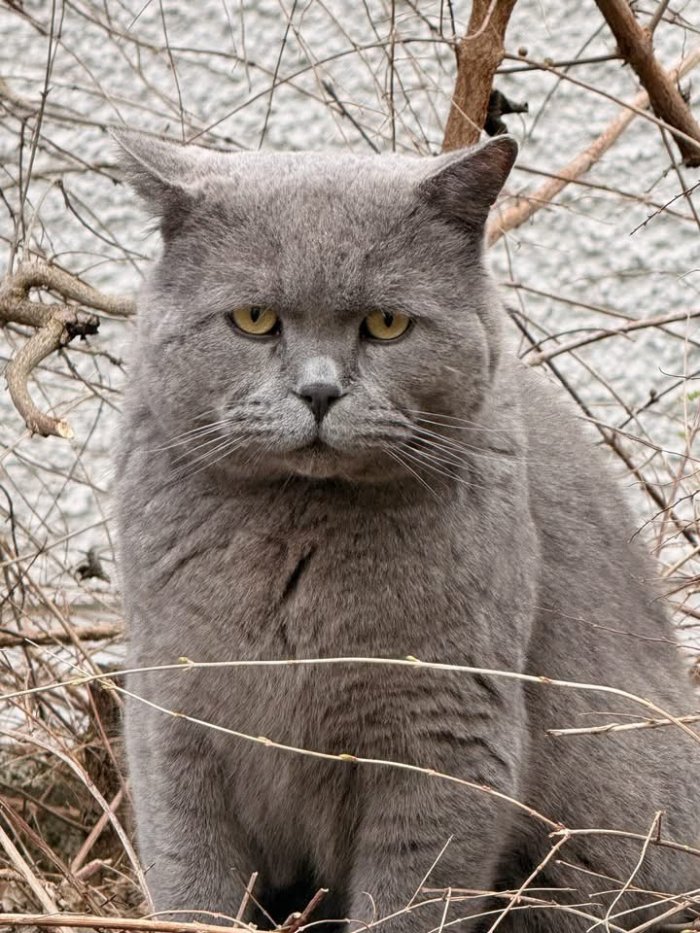 Unbekannt 260317-141901