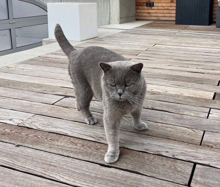 Unbekannt 260317-141901