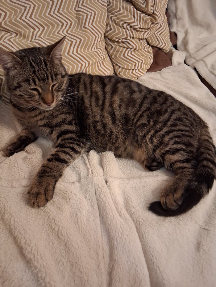 Unbekannt 251027-093600