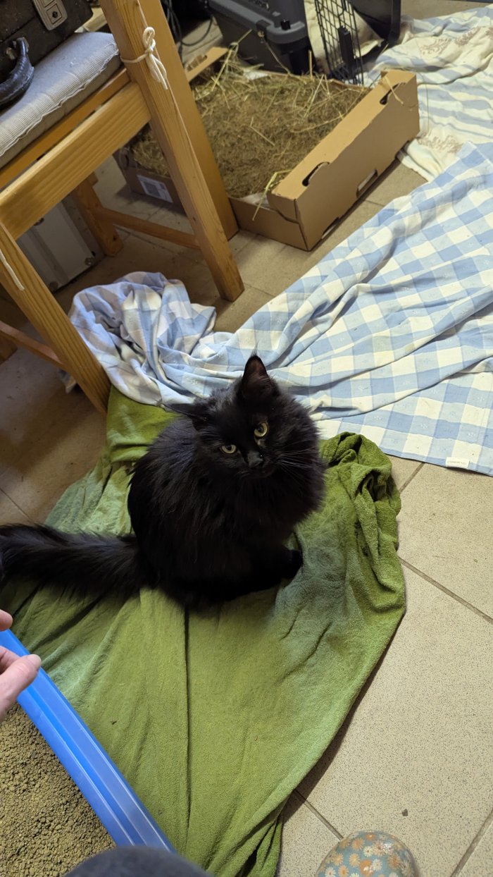 Unbekannt 251028-124120