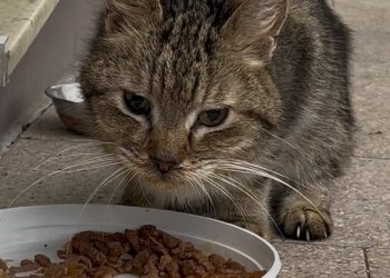 Unbekannt 251026-135351