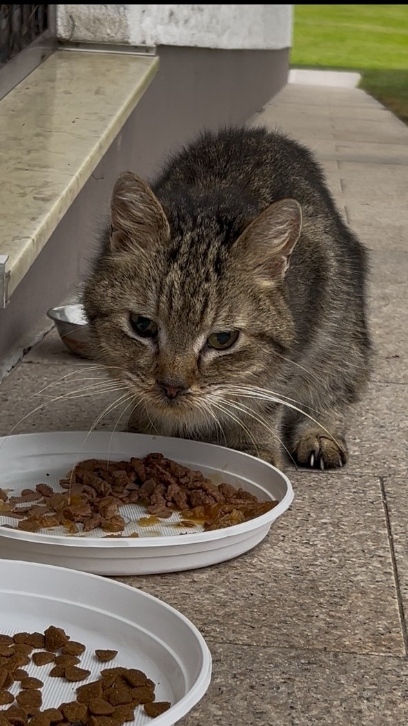 Unbekannt 251026-135351