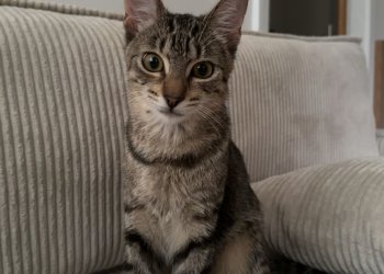 Unbekannt 260324-134607