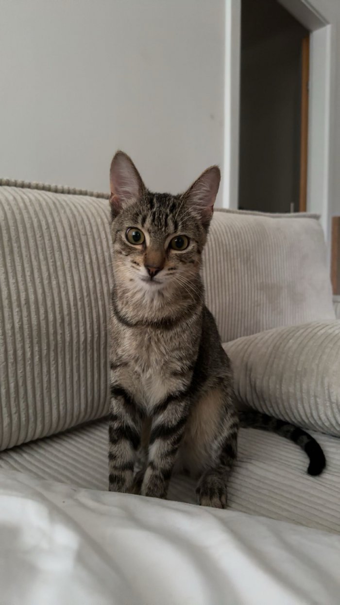 Unbekannt 260324-134607